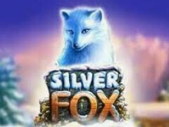 Игровой автомат Silver Fox (Песец) играть бесплатно онлайн и без регистрации в казино Вулкан Платинум